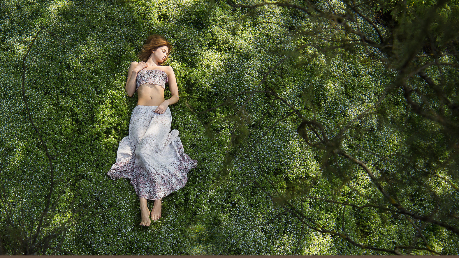 WARUM DU DAS WISSEN DER HEILERINNEN TRÄGST – Die Kraft von Wildkräutern und Räucherritualen