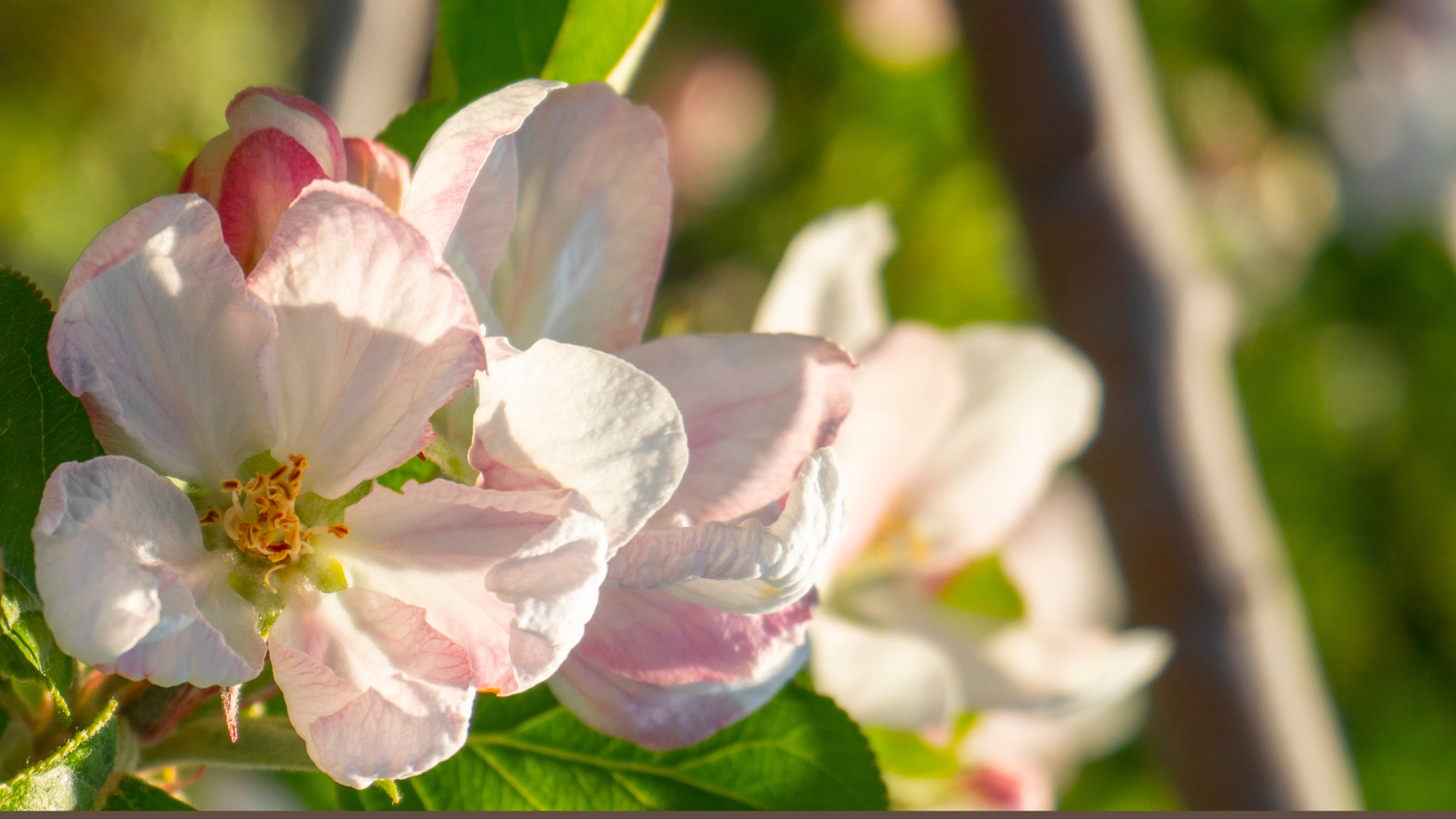 WILD, LAUT & UNGESTÜM: Warum das Jahr im Mai in der Pubertät steckt
